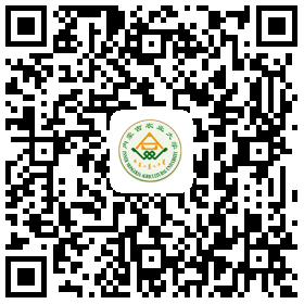 如何连接有线网络