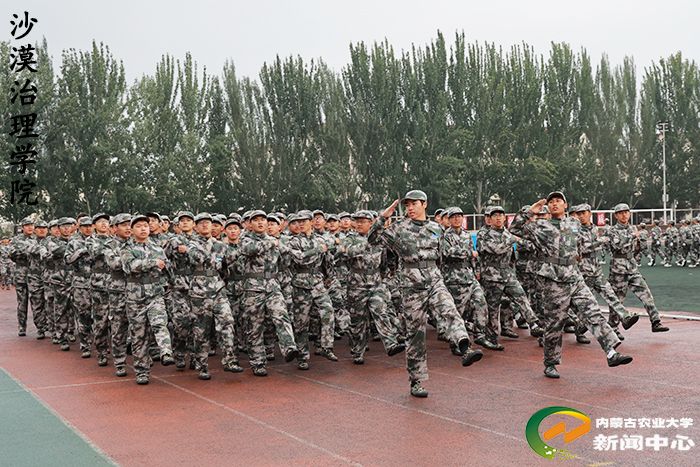 副校长塔娜