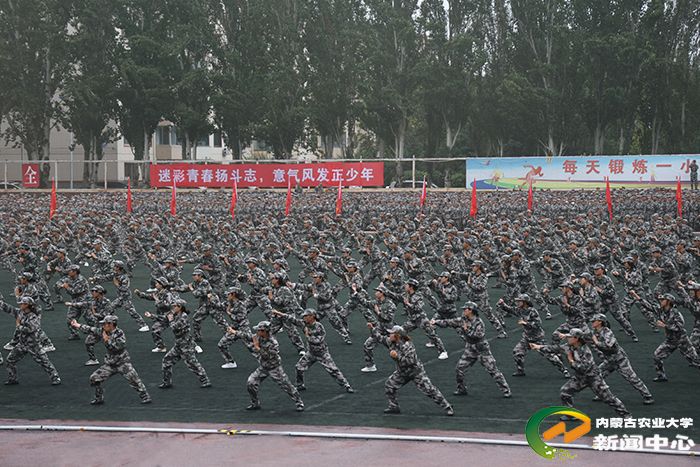 董同力嘎宣读表彰决定