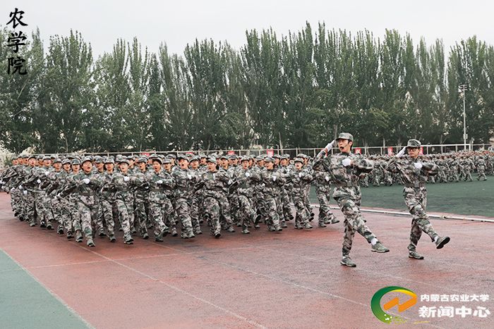 警备区战备建设处中校参谋张雷